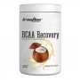 IronFlex BCAA Recovery (500g)