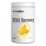 IronFlex BCAA Recovery (500g)