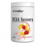 IronFlex BCAA Recovery (500g)